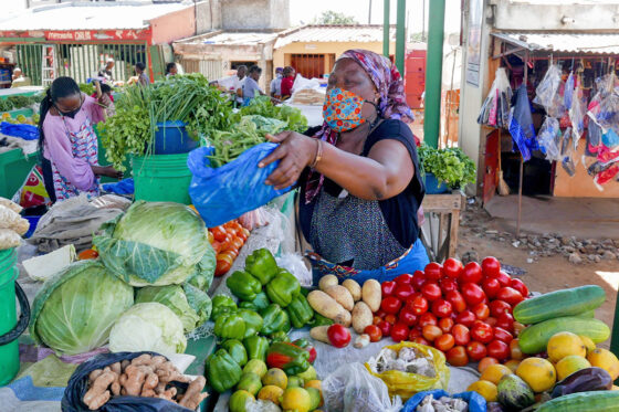 Market Survey of Mozambique